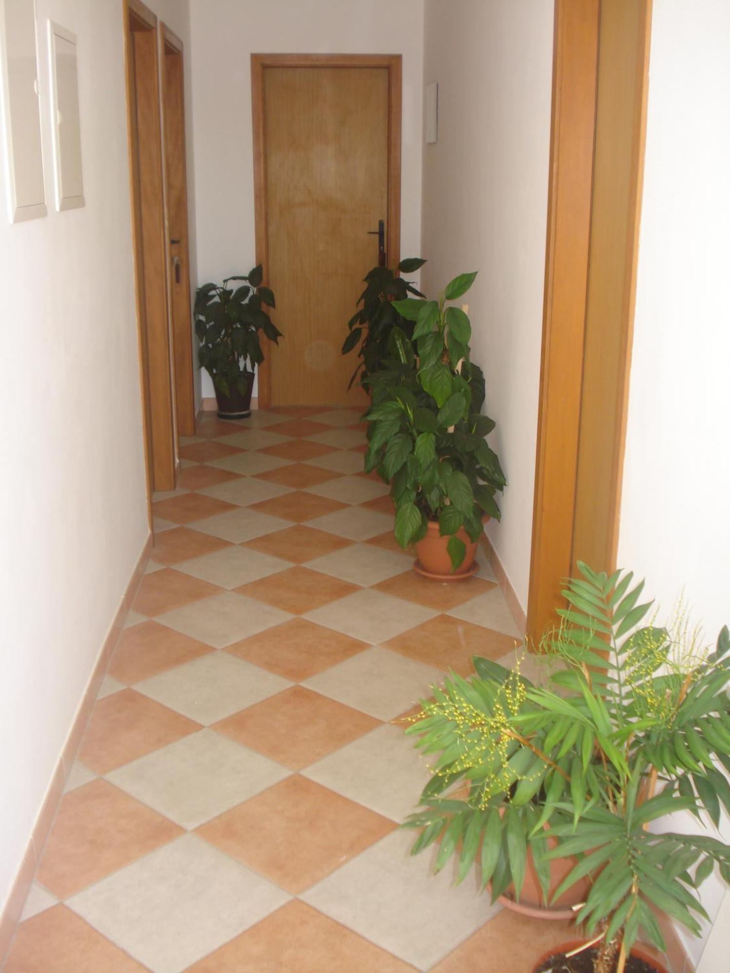 Apartments San Giorgio Sućuraj エクステリア 写真